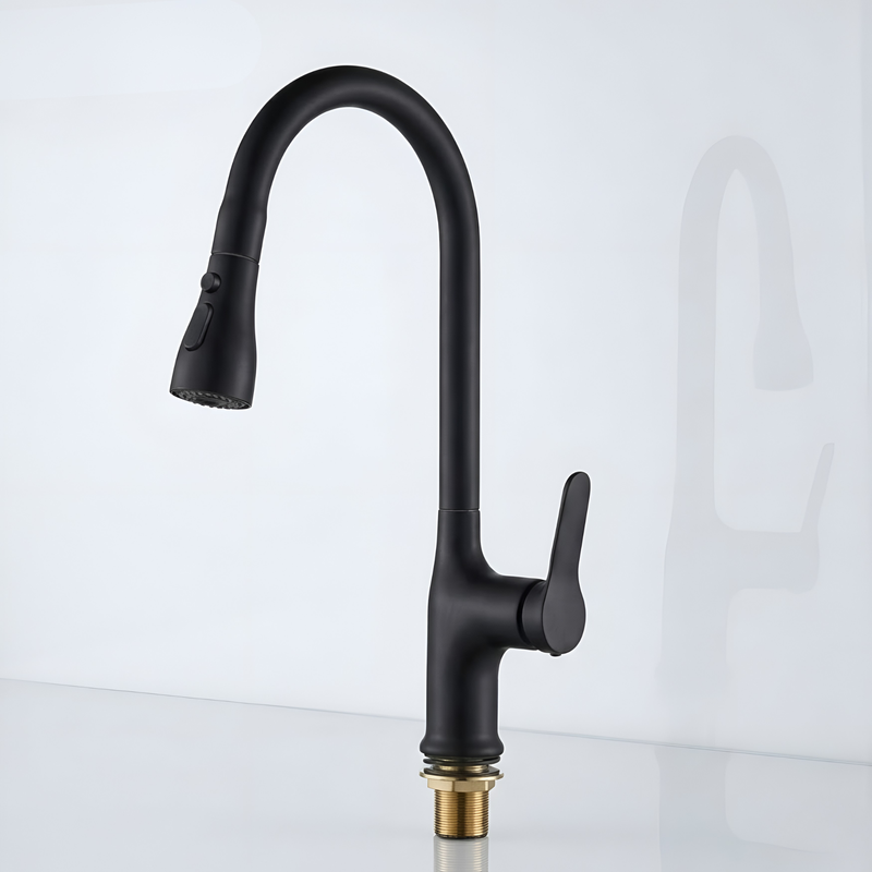 Pull Out Sink Mixer (Black)