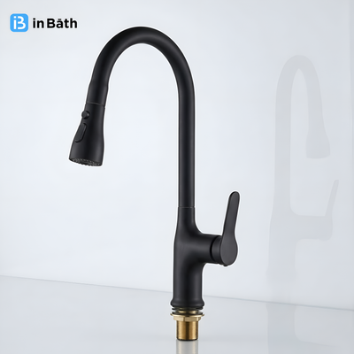 Pull Out Sink Mixer (Black)
