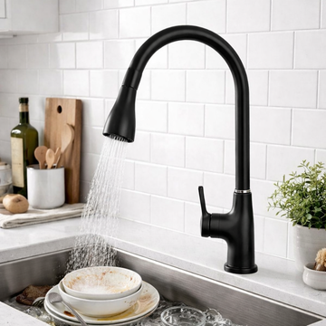 Pull Out Sink Mixer (Black)