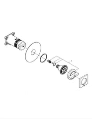 InBath Gold Body Jet/ Body Shower For Bath