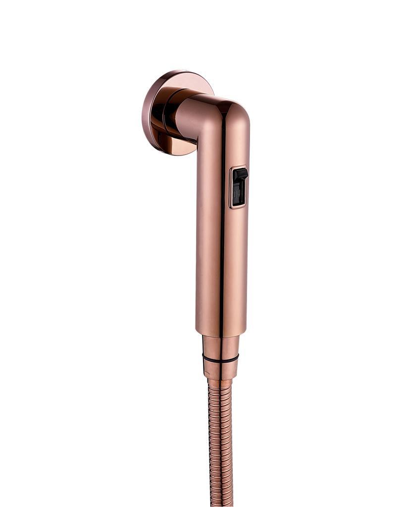 Rose Gold Magnet Health Faucet